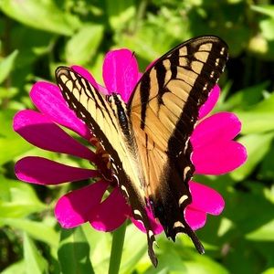 Meet your Posher, Ina